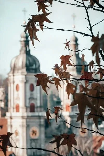 Unterseite Dolmetschen Sankt gallen